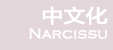 KFC-Narcissu���Ļ��ٷ���ҳ