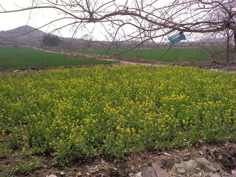 110326A002_调整大小jpg