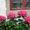 DSC01293JPG