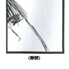 002jpg