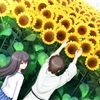 vnr-capture-1366x768