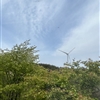 IMG_9409jpeg