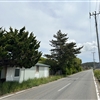 IMG_9435jpeg