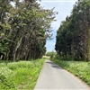 IMG_9428jpeg