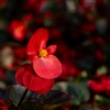 P1013631jpg