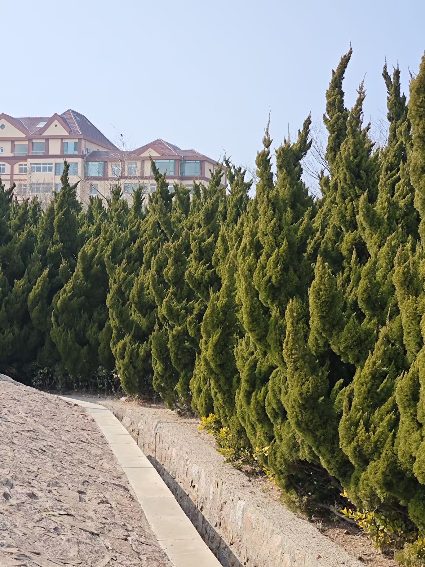 感觉自己没洗头的时候是这样的（