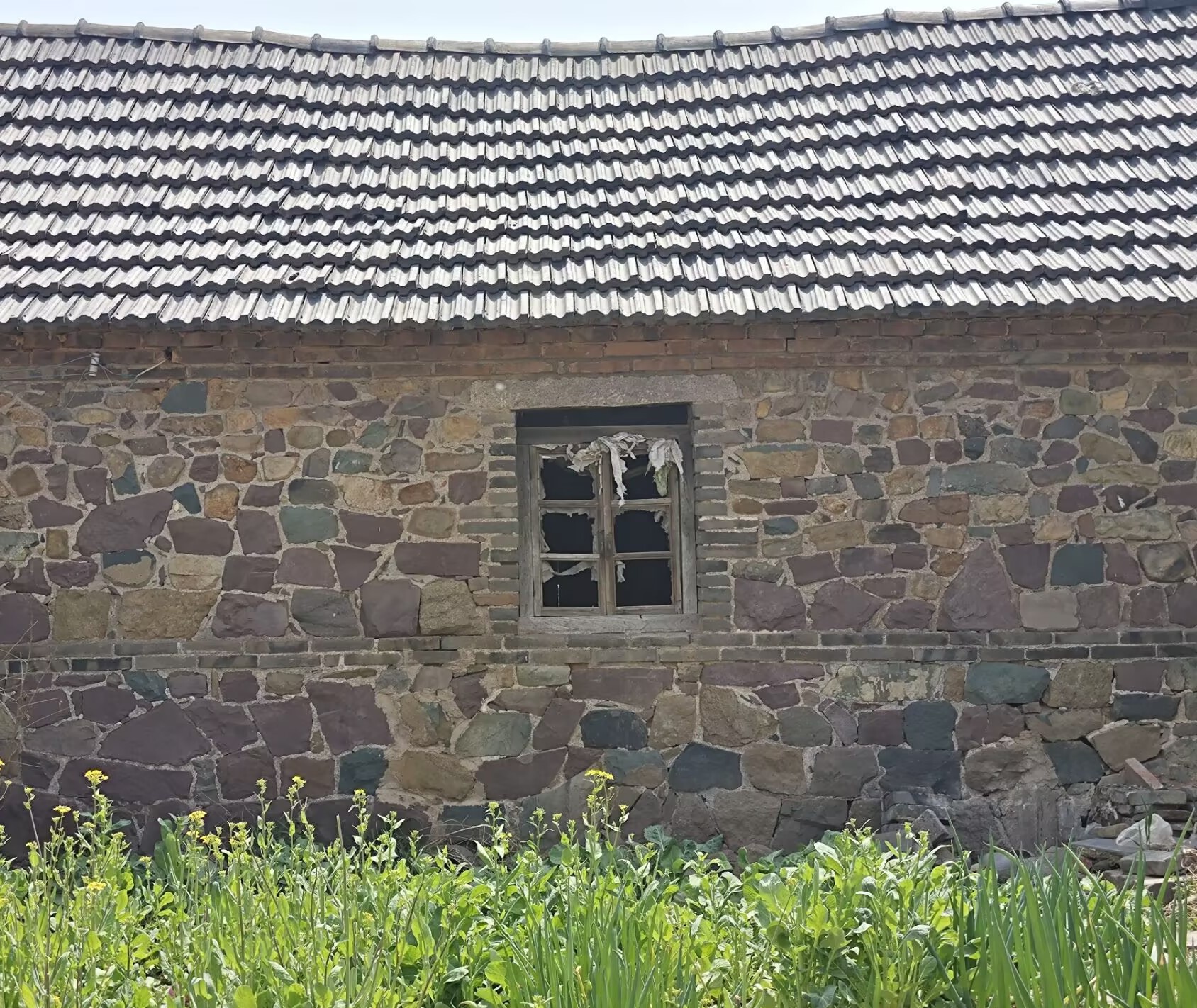 9c96c174899917196674